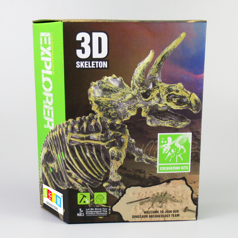 Dig it out Triceratops skeleton